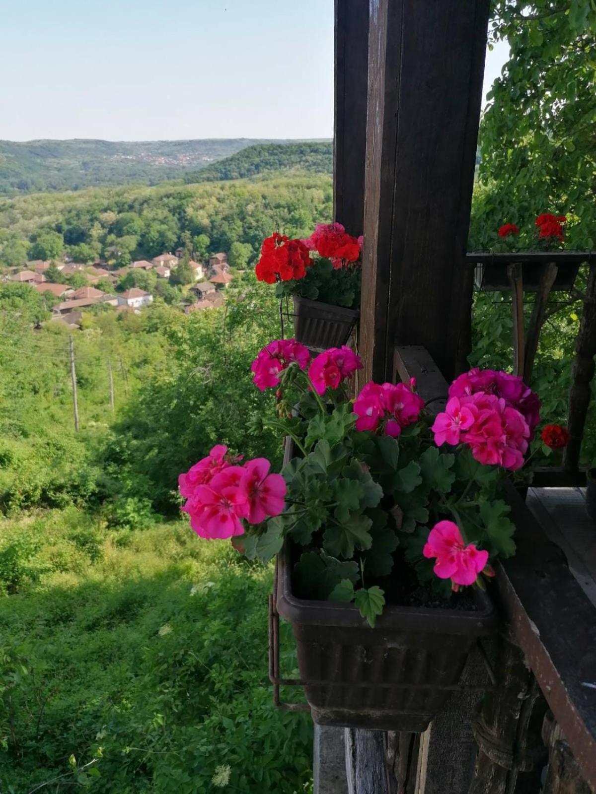 Country House Pivnica Milic Rogljevo Apartment Luaran gambar